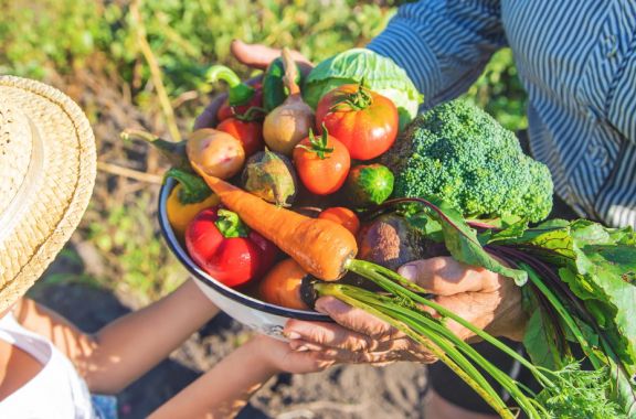 Zwei Menschen halten eine Schüssel mit frischem Gemüse im Garten.