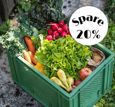 Frisches Gemüse in grüner Kiste mit Rabattaktion Spare 20 Prozent
