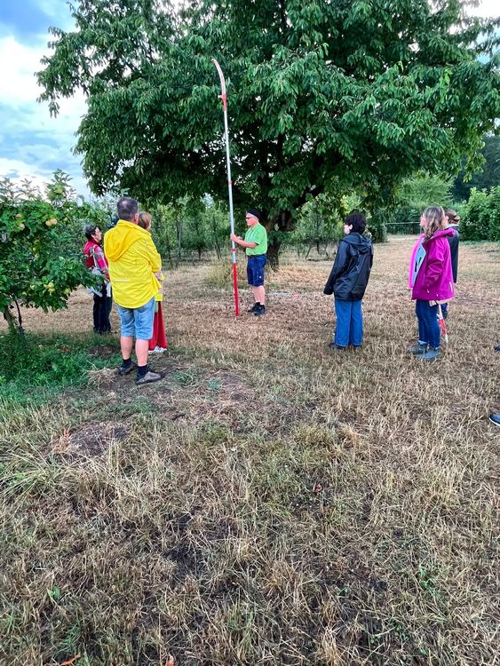 Mann erklärt Nutzung eines langen Obstbaumschneidewerkzeugs vor Gruppe im Obstgarten