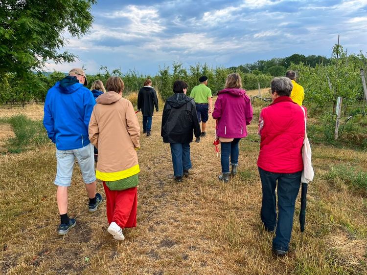 Gruppe von Menschen in bunten Jacken wandert auf Feldweg zwischen Bäumen und Büschen unter bewölktem Himmel