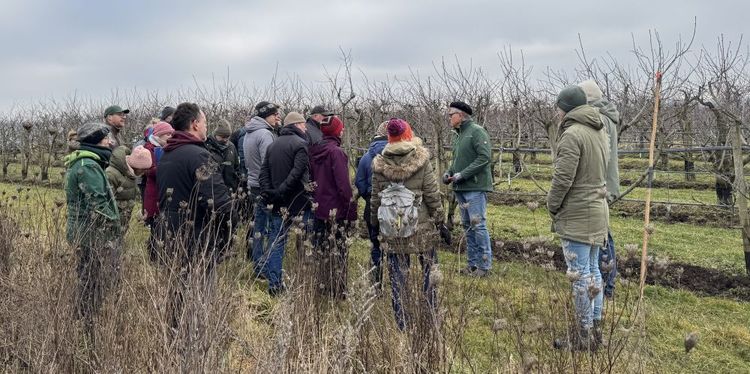 Gruppe von Menschen in Winterkleidung in einem Obstgarten bei einer Führung im Spätherbst.