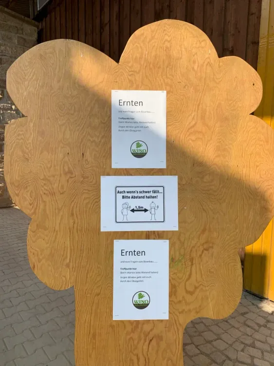 Holztafel in Baumform mit Schildern zu Ernten, Abstandhalten und Bioanbau im Obstgarten