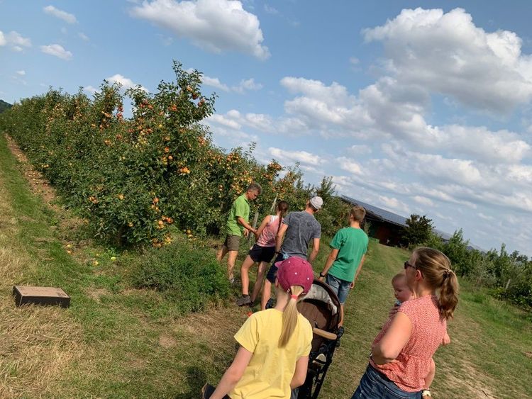 Familie und Kinder beim Apfelpflücken in einem Obstgarten unter blauem Himmel mit Wolken