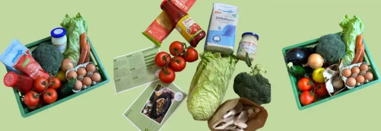 Drei Körbe mit frischem Gemüse, Eiern und Kochzutaten auf grünem Hintergrund