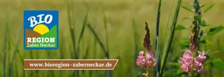 Logo der Bio-Region Zaber Neckar mit Sonnenaufgang und rosa Blüten im Hintergrund