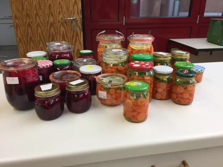 Viele Einmachgläser mit eingelegten Karotten und rotem Gemüse auf einem weißen Tisch in einem Raum