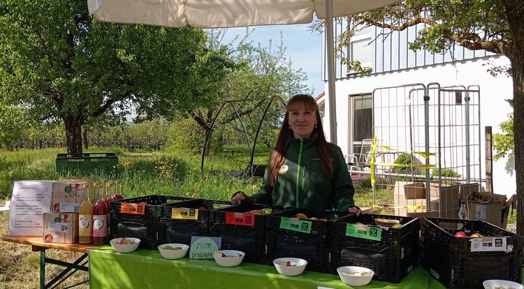 Frau verkauft Bio-Obst und -Saft an einem Marktstand im Freien unter einem Sonnenschirm