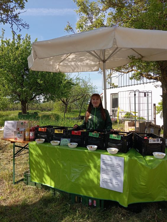 Verkäuferin steht unter Sonnenschirm auf Bauernmarkt mit frischem Bio-Obst und Säften in Kisten
