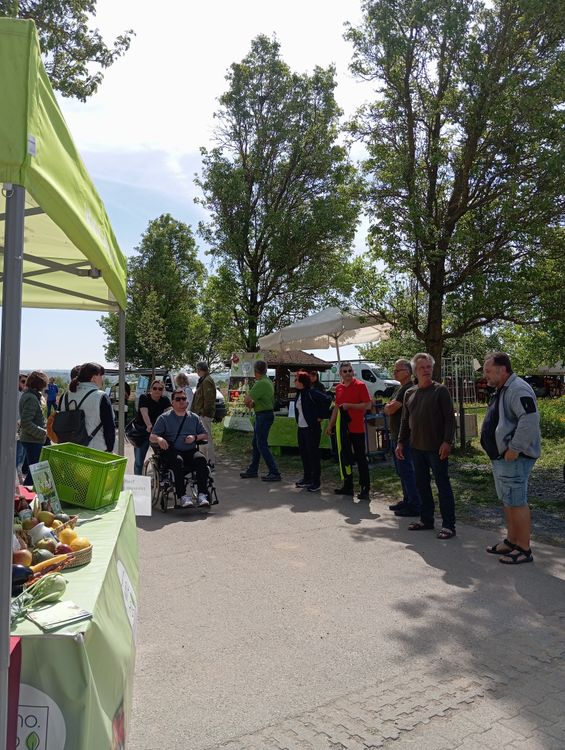 Menschen auf einem Markt im Freien mit Ständen, Bäumen und Sonnenschirmen an einem sonnigen Tag