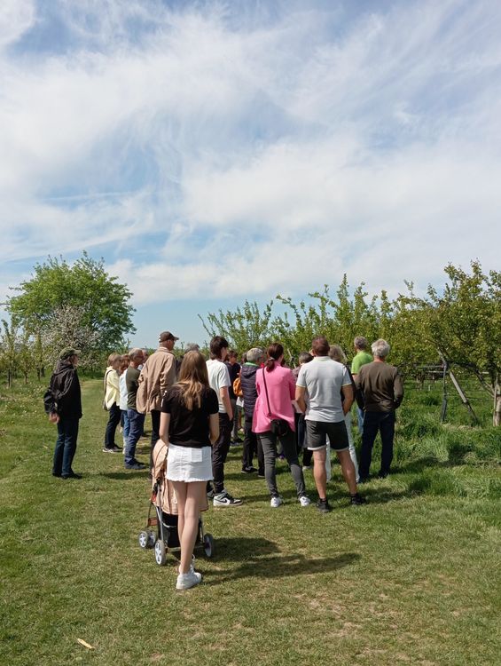 Gruppe von Menschen bei einem Rundgang durch einen Obstgarten unter blauem Himmel mit Wolken