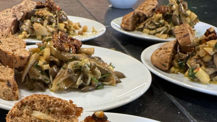 Mehrere Teller mit Pilzpfanne und knusprigem Brot auf einem dunklen Tisch