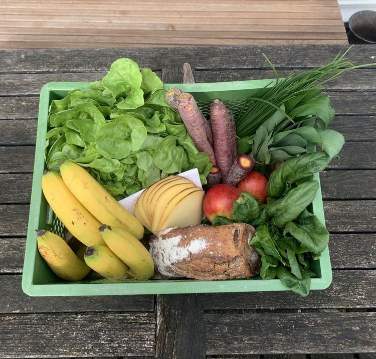 Grüner Korb mit Bananen, Blattsalat, lila Karotten, Käse, Brot, Äpfeln, Schnittlauch und Spinat auf Holzplatte