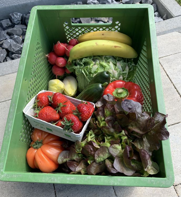 Grüne Kiste mit frischen Erdbeeren, Bananen, Salat, Radieschen, Gurken, Paprika und Tomaten