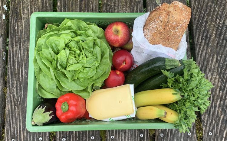 Grüner Plastikkorb mit Salat, Äpfeln, Brot, Zucchini, Banane, Käse, Paprika und Aubergine auf Holztisch