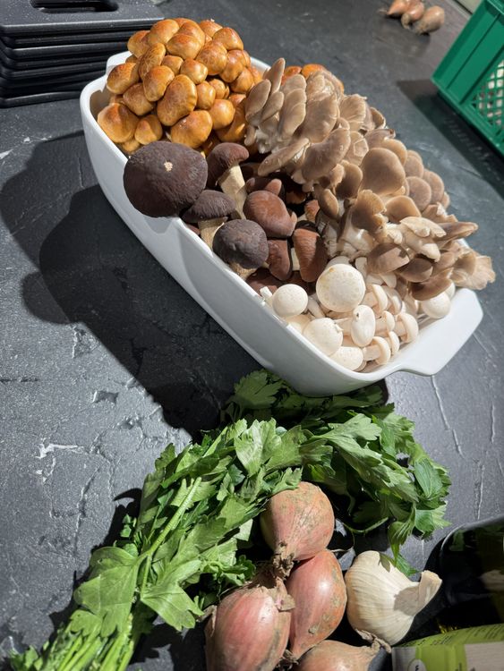 Verschiedene Pilzsorten in einer weißen Schüssel und frische Kräuter mit Schalotten und Knoblauch auf dunklem Untergrund