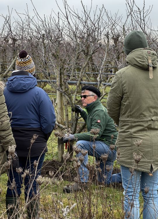 Mann erklärt Baumschnitt in Obstgarten, Winterkleidung, Gruppe hört aufmerksam zu