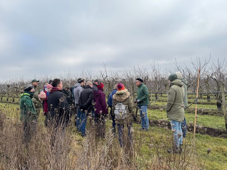 Gruppe von Menschen im Winterkleidung bei Führung in einem kahlen Obstgarten