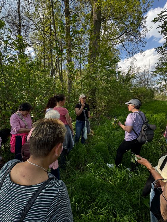 Gruppe von Menschen bei einer Naturführung im Wald mit grünen Bäumen und Gras im Frühling