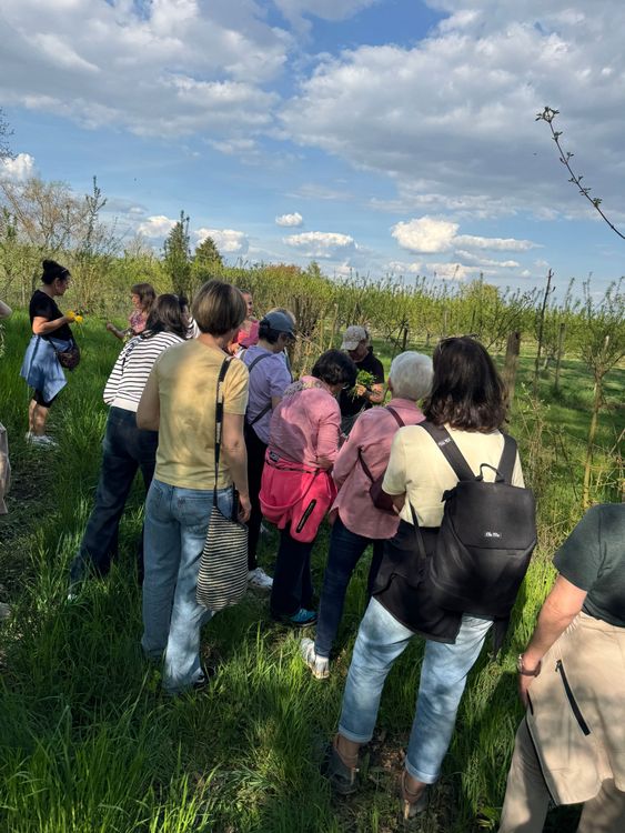 Gruppe von Menschen in Obstgarten bei sonnigem Himmel mit Wolken genießen Natur.