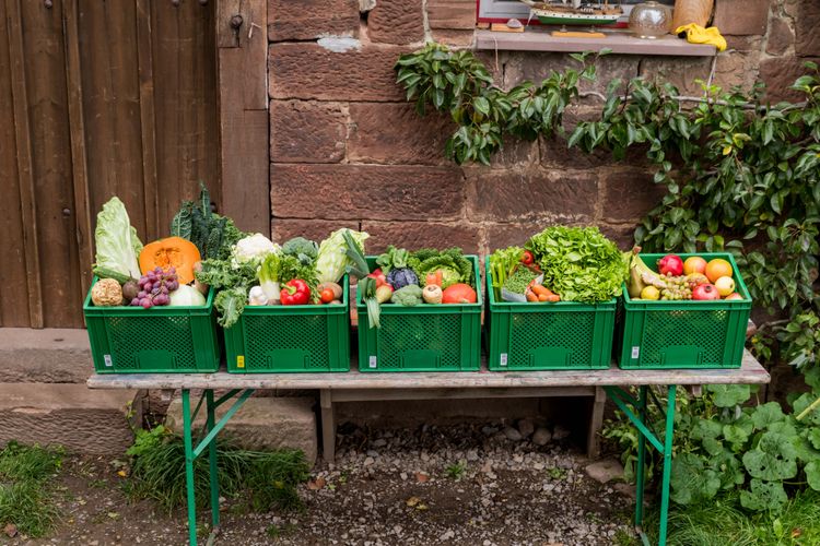 Fünf grüne Kisten mit frischem Obst und Gemüse auf einem Tisch vor einer Backsteinwand