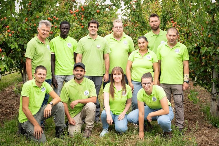 Gruppenfoto von elf Personen in grünen Poloshirts in einem Obstgarten mit reifen Früchten