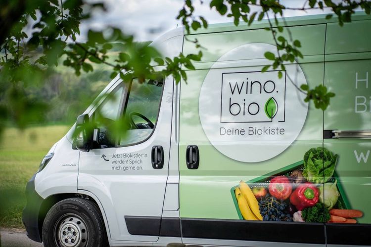 Lieferwagen von wino.bio mit Biokistensymbol und frischem Obst und Gemüse, umgeben von grünen Blättern