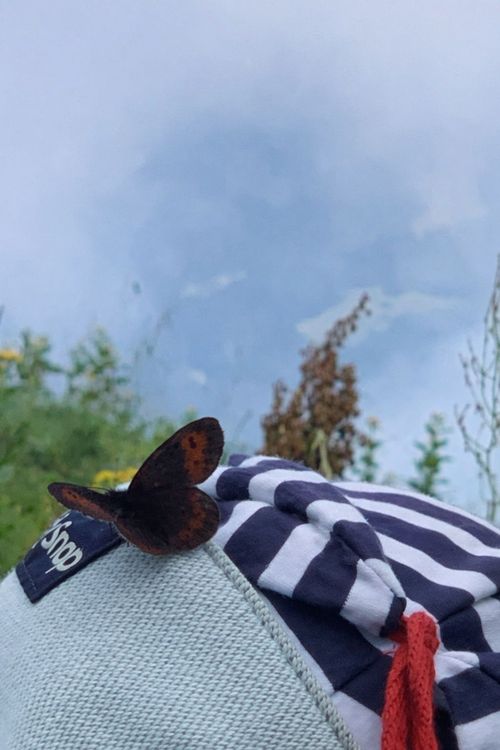 Dunkler Schmetterling sitzt auf einer gestreiften Mütze vor bewölktem Himmel und grüner Vegetation
