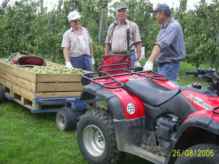 Drei Landwirte stehen neben einem roten Quad mit Anhänger voller geernteter Birnen im Obstgarten.