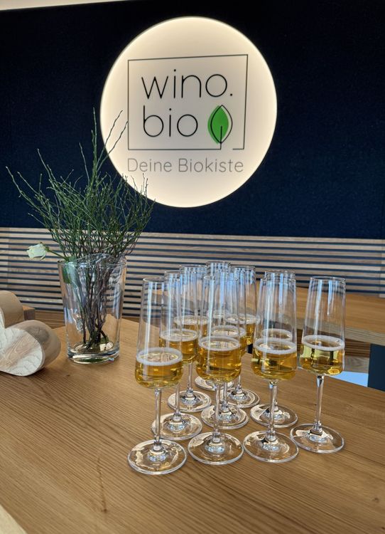 Mehrere gefüllte Sektgläser auf einem Holztisch vor beleuchtetem wino.bio Logo und Vase mit Pflanzen