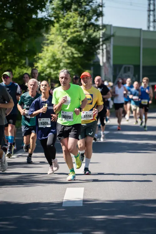 Gruppe von Läufern bei einem Marathon auf einer sonnigen Straße mit Bäumen im Hintergrund