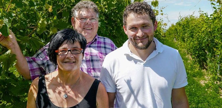 Drei lächelnde Personen in einem grünen Weinberg bei sonnigem Wetter