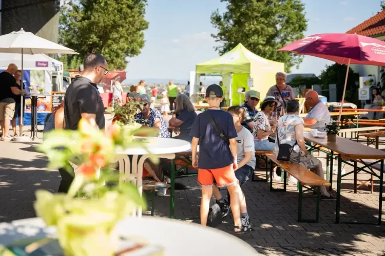 Menschen sitzen bei sonnigem Wetter auf Bierzeltgarnituren unter Sonnenschirmen in einem gemütlichen Außenbereich