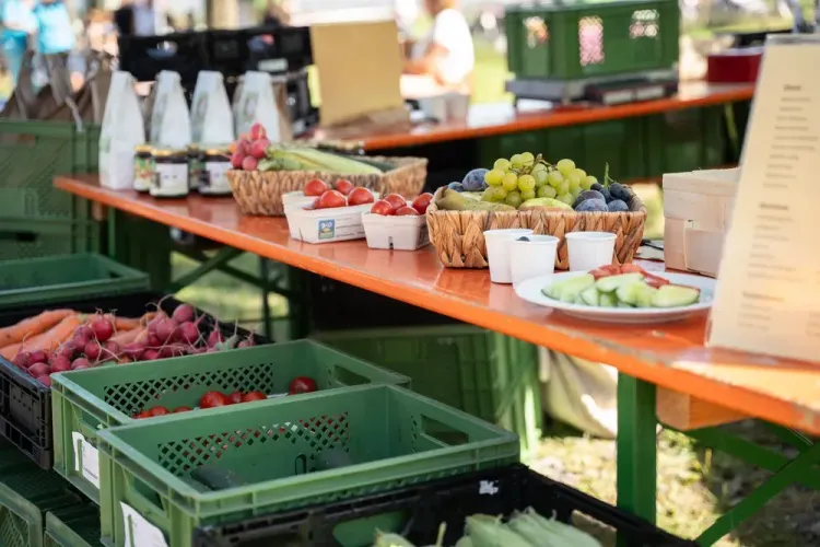 Marktstand mit frischem Bio-Obst und Gemüse in Körben und Kisten bei sonnigem Wetter