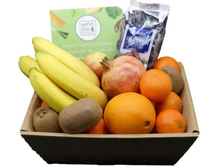 Korb mit Bio-Obst und Datteln, darunter Bananen, Kiwis, Granatäpfel, Orangen und Mandarinen