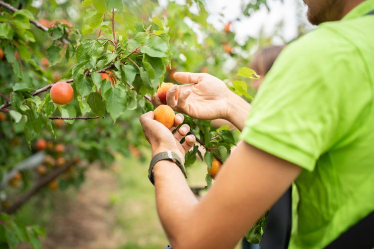 Drei lächelnde Personen im Freien vor grüner Landschaft und bewölktem Himmel