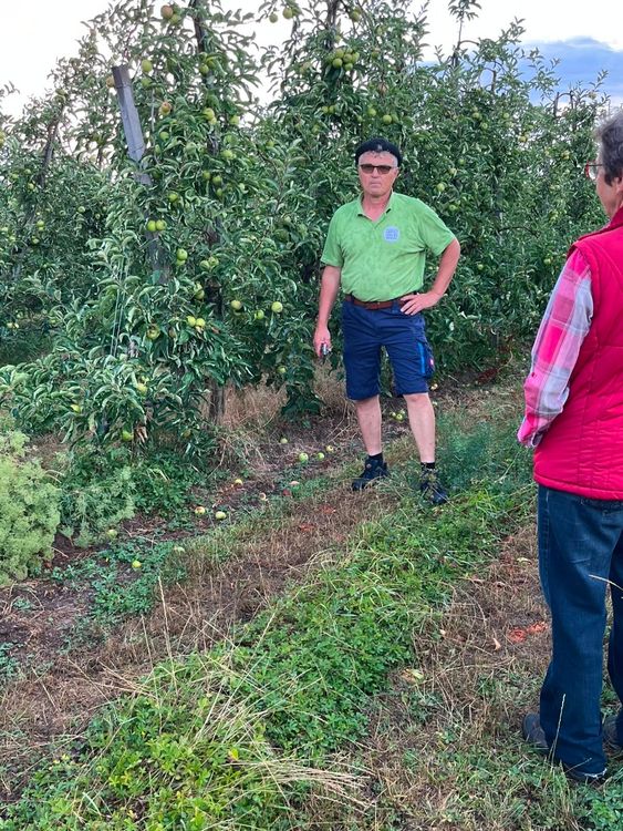 Ein Mann in grüner Kleidung steht zwischen Apfelbäumen, eine weitere Person im roten Weste beobachtet ihn.