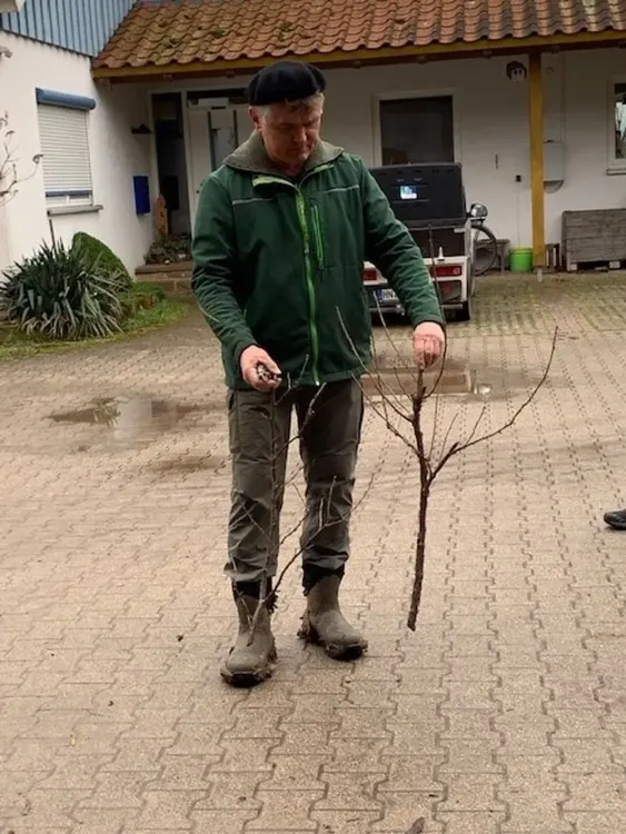 Mann mit grünem Mantel und Mütze hält zwei kahle Äste auf gepflastertem Hof