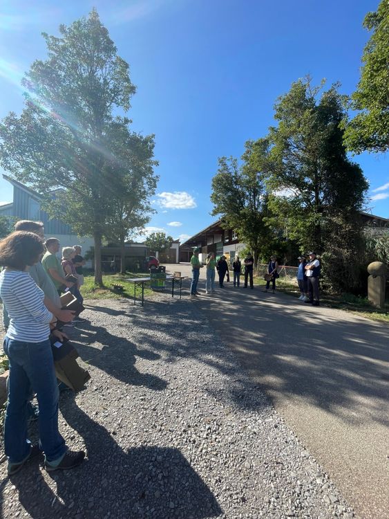 Menschen versammelt unter Bäumen auf einem Hof bei strahlend blauem Himmel an sonnigem Tag