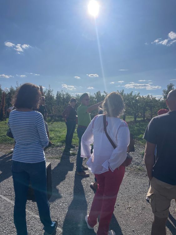 Gruppe von Menschen bei sonnigem Wetter im Freien mit Obstbäumen und blauem Himmel im Hintergrund