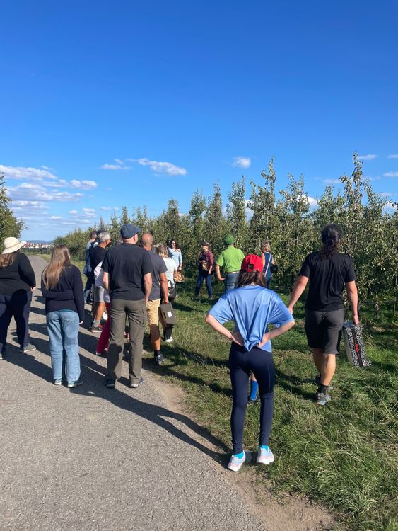 Gruppe von Menschen bei einer Führung durch einen Obstgarten unter blauem Himmel
