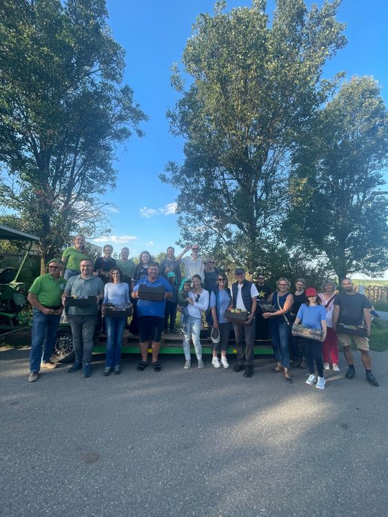 Gruppe von Menschen mit Obstkisten stehen vor Bäumen bei sonnigem Himmel auf Straße