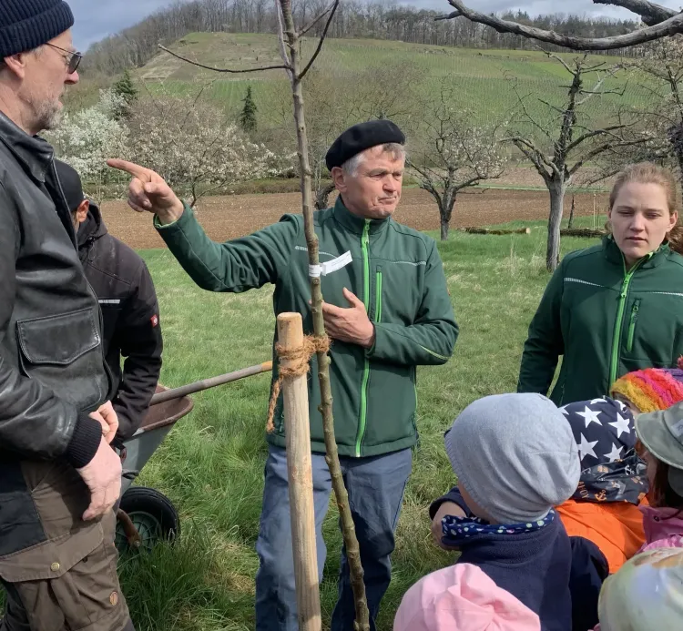Ein Mann erklärt einer Gruppe Kindern und Erwachsenen das Binden eines jungen Baumes im Frühling