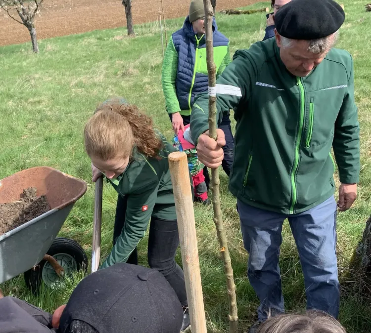 Menschen pflanzen gemeinsam jungen Baum auf grüner Wiese mit Schubkarre und Werkzeug