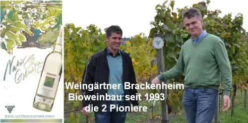 Zwei Männer in einem Weinberg stehen neben Reben und einem Ökolabel, Pioniere des Bioweinbaus seit 1993
